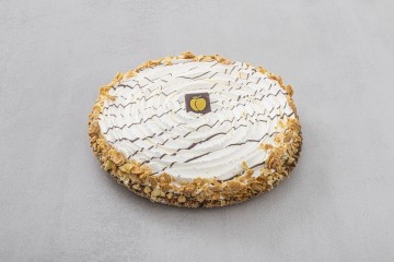 Spaanse abrikozenschelp17453466056199